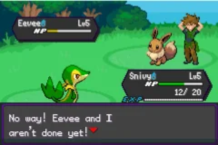 Pokémon Amethyst Version