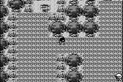 Pokémon Ghost Grey